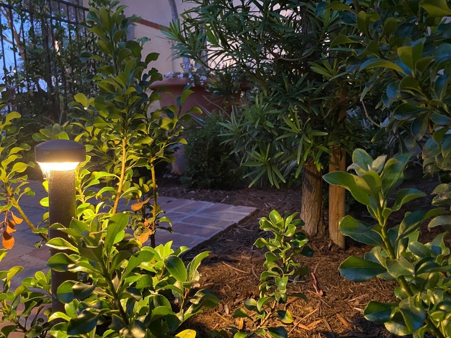 An outdoor lighting fixture amidst plants.