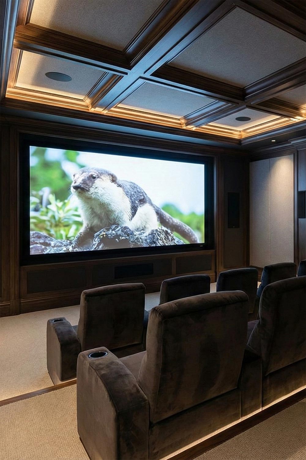 Elegant home theater featuring coffered ceiling and nature film on screen